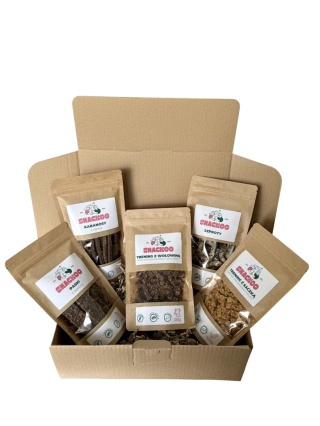 Treningowe przysmaki dla psa Focus Box Snackoo